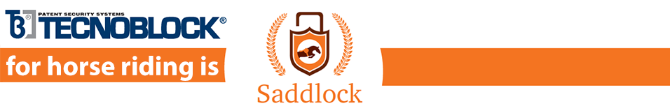 banner_saddlock.png (960×152)